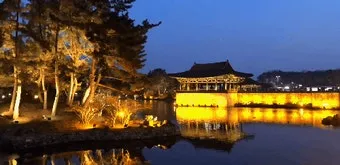 경주 가볼만한곳 베스트 10 역사 여행과 문화유산 탐방_10