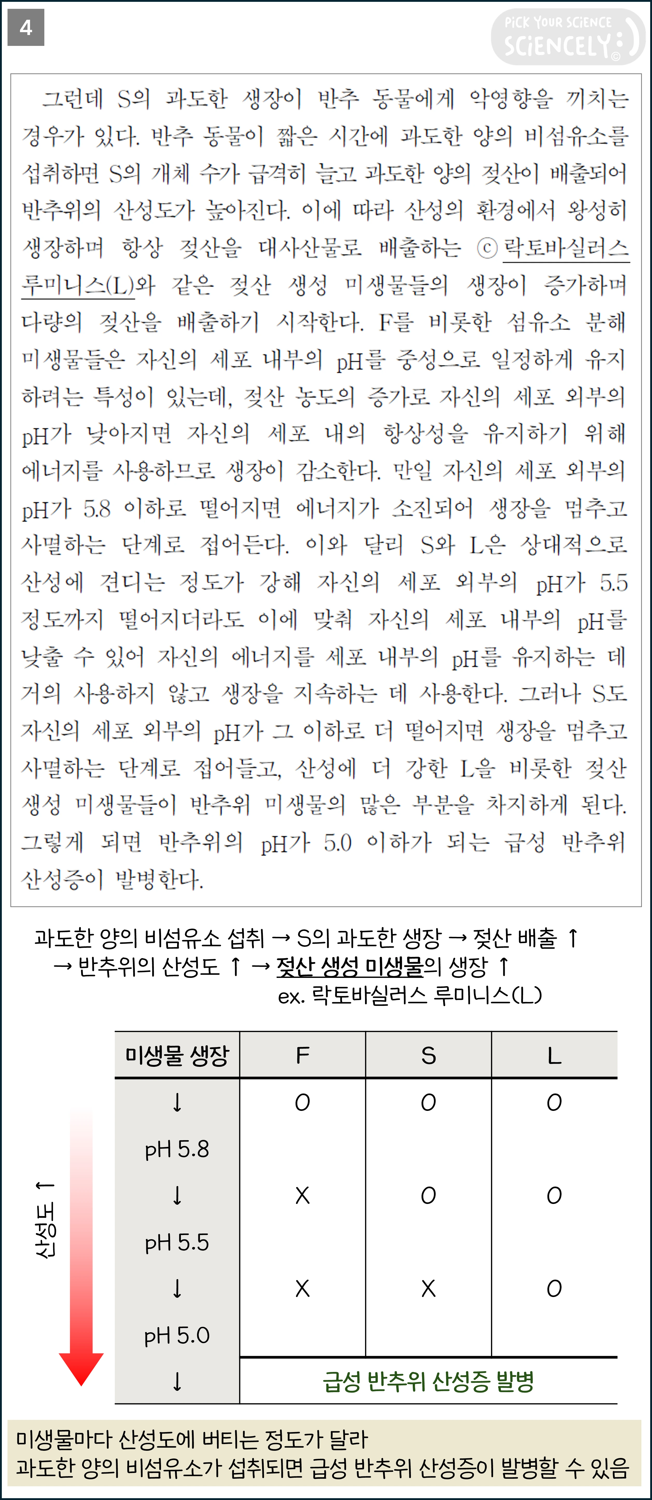 국어 독서 과학기술, 국어 비문학 과학기술, 17학년도 수능 Q33-36, 반추동물의 탄수화물 분해, 4문단
