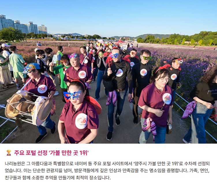 양주 천일홍축제 2025✨ 천만송이 꽃바다에서 힐링한 날