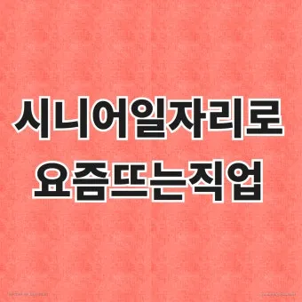 60대 이후 시니어에게 추천하는 유망 직업 TOP 7 정리_8