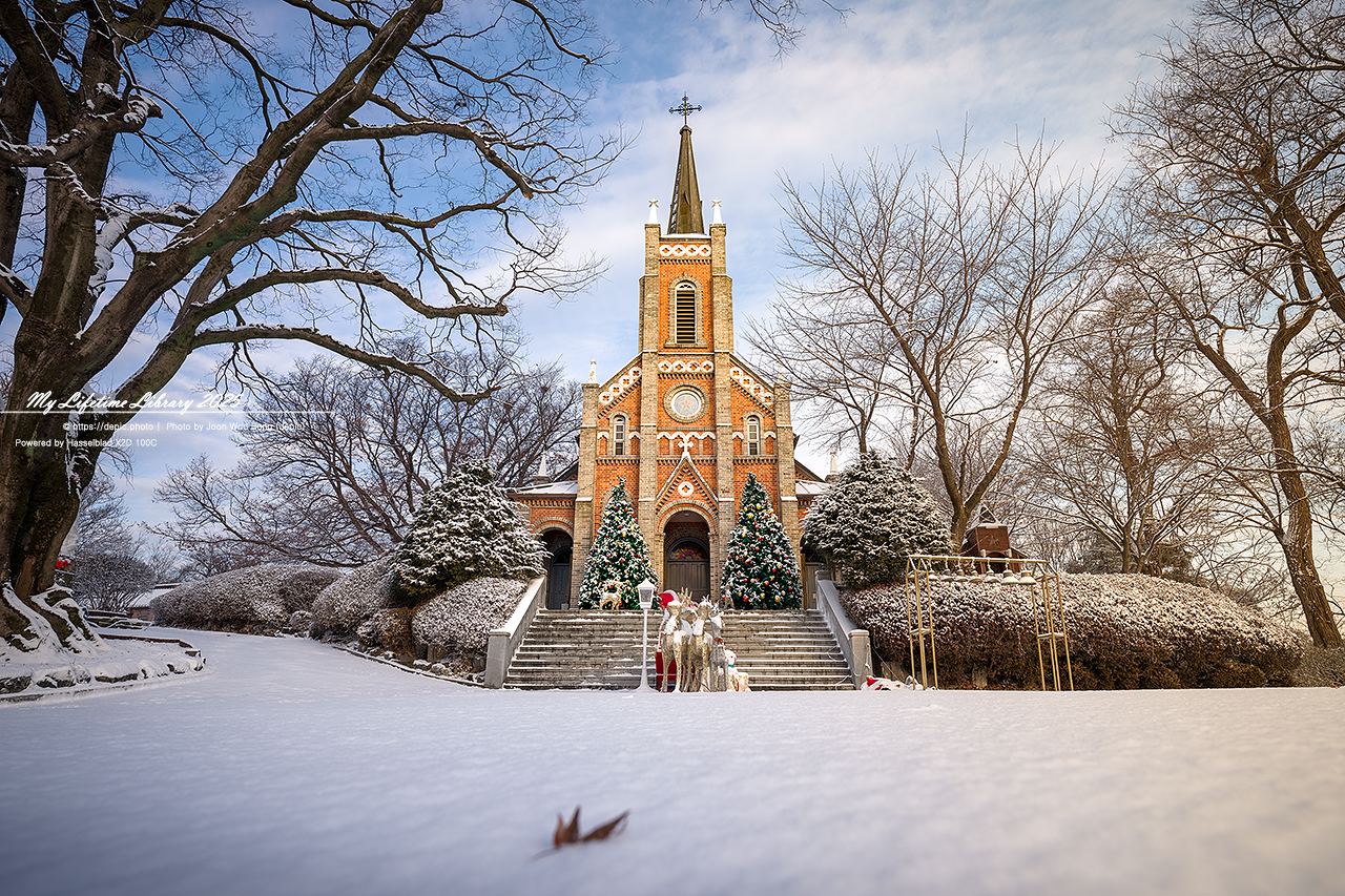 아산 공세리 공세리성당 가톨릭 천주교 성지 성당