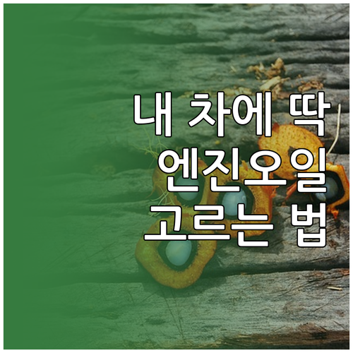 내 차에 맞는 엔진오일 선택법: 종류..