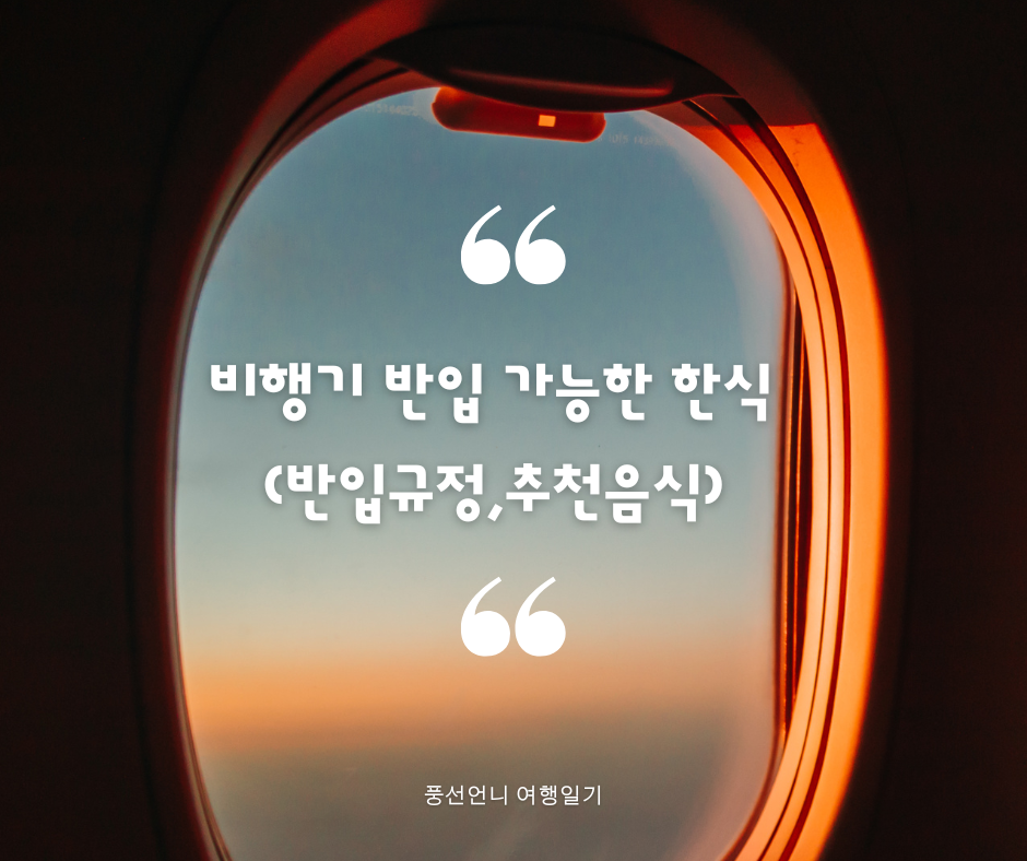 비행기 반입 가능한 한식 (반입규정,추천음식)