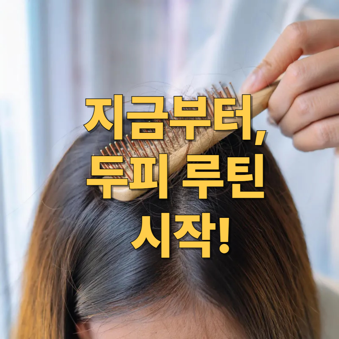 탈모 고민? 두피 루틴부터 챙기세요