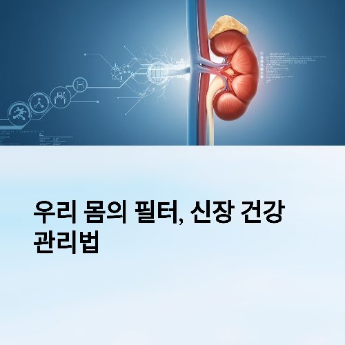 우리 몸의 필터, 신장! 건강 관리를 위한 모든 것