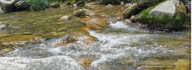 자연이 숨 쉬는 강원도 영월 내리계곡