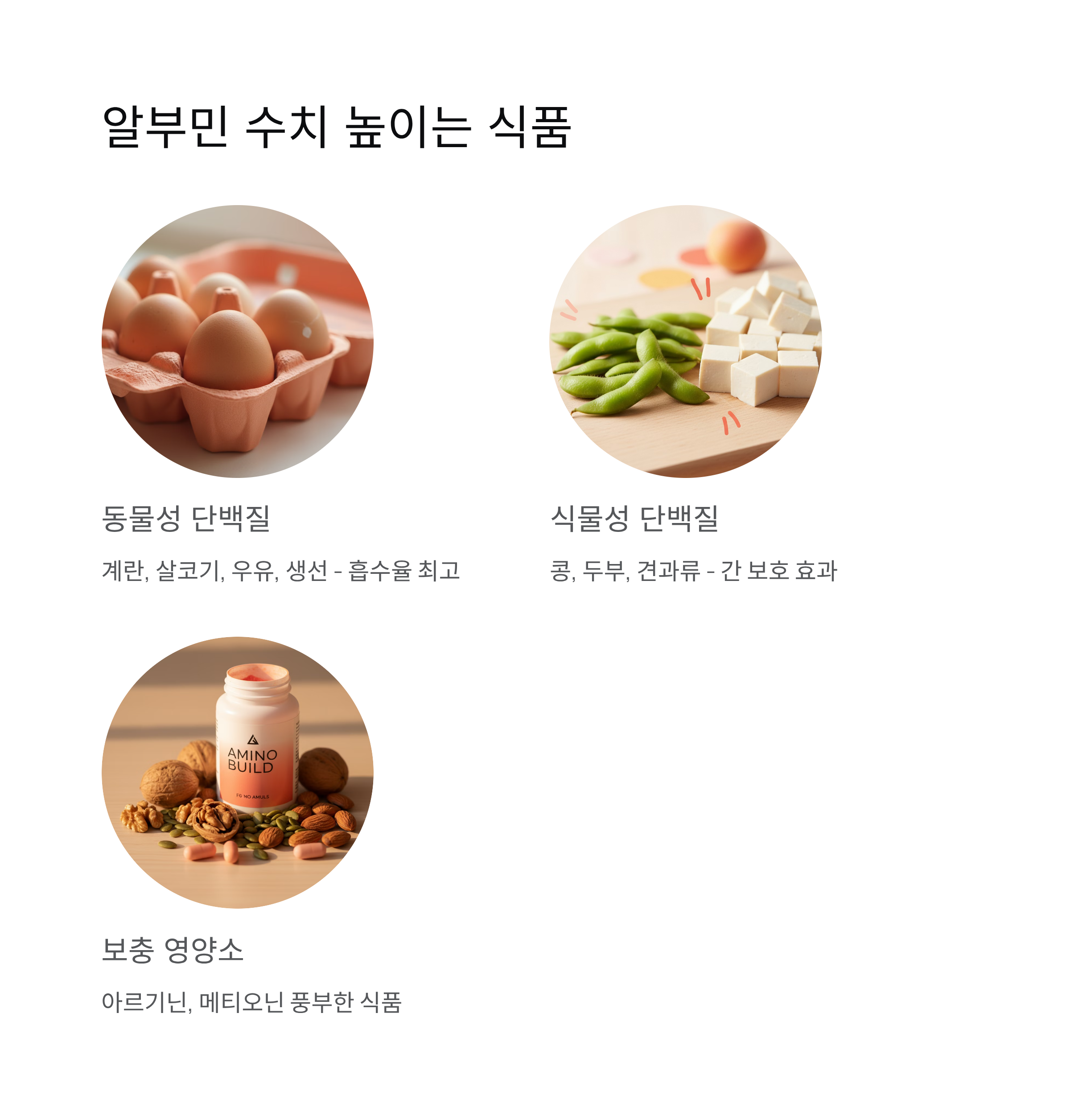 알부민 수치 높이는 식품