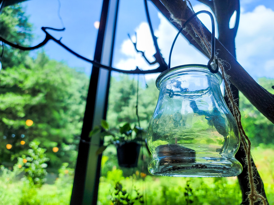 광교 브런치 카페 5월 정원