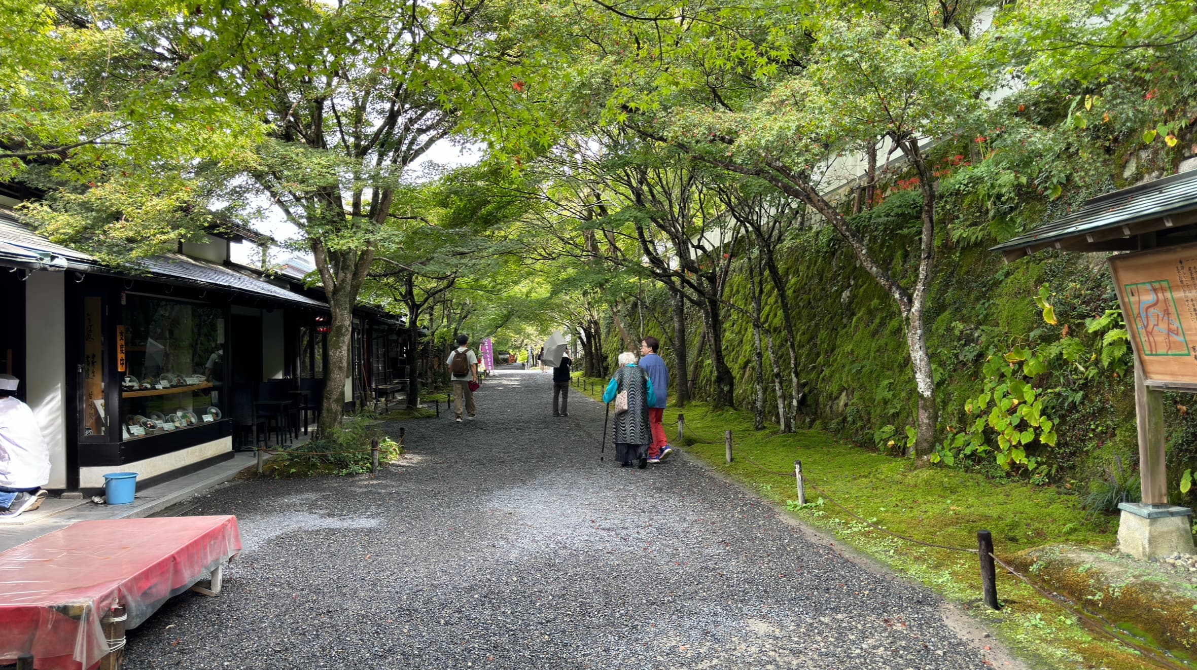 교토 오하라 산젠인 ❘ 계절마다 다른 풍경을 품은 천년 고찰