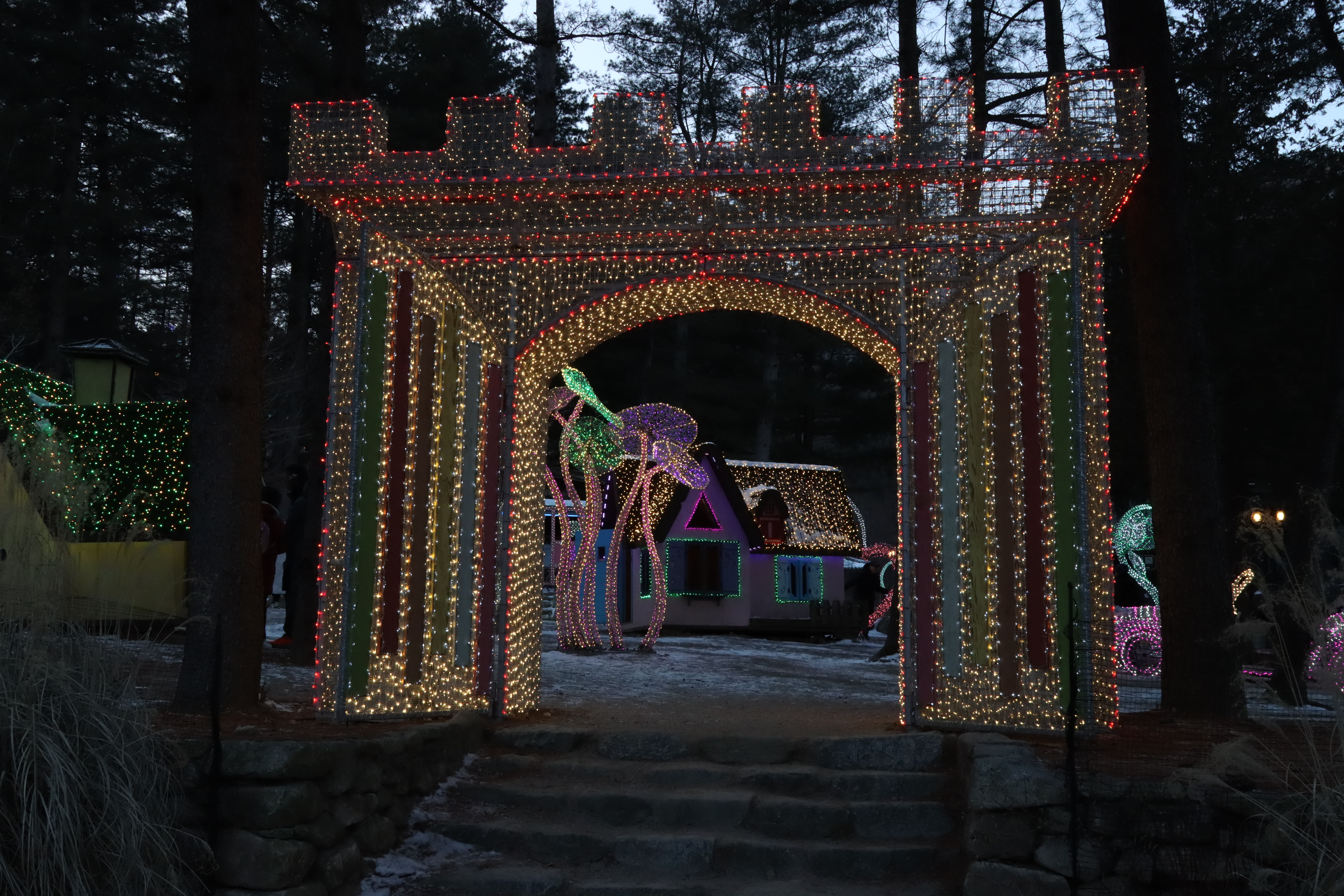 아침고요수목원