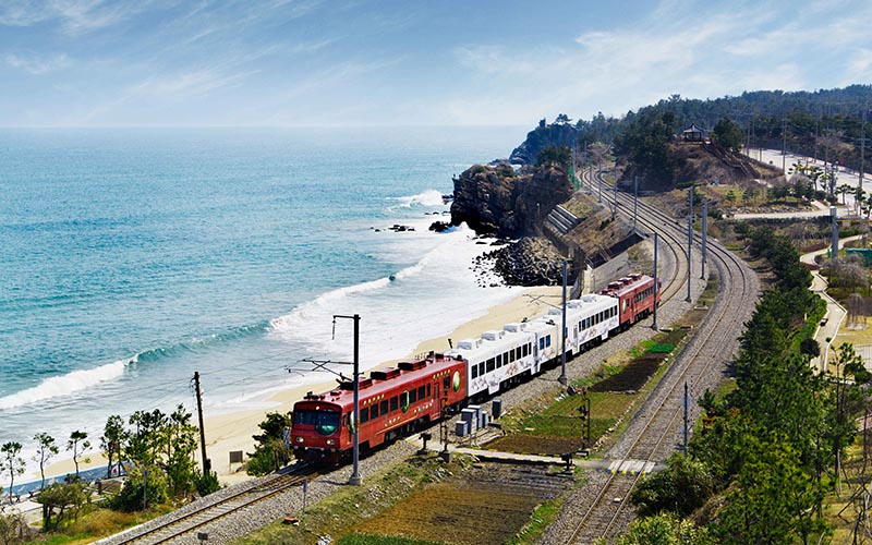 강원워케이션_정동진역풍경