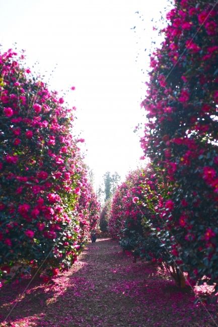 여수 가볼만한곳 베스트10