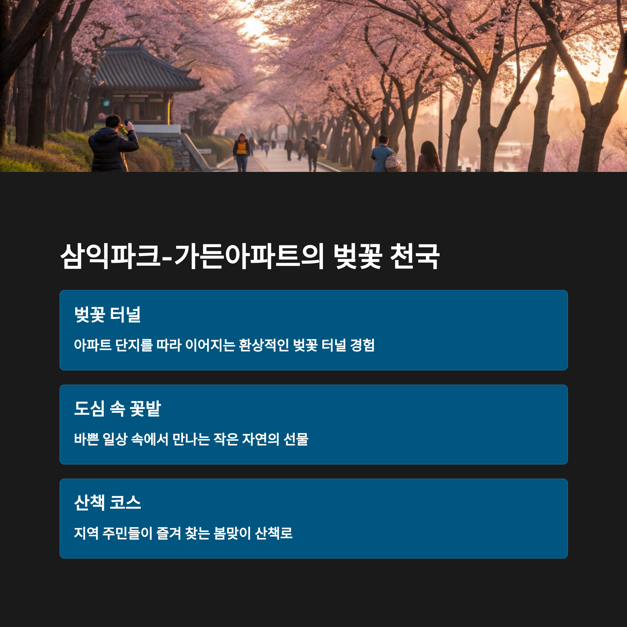 벚꽃 터널의 모습