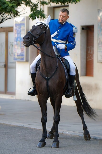 일반경비지도사