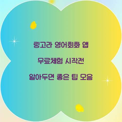 링고라 영어회화 앱 무료체험