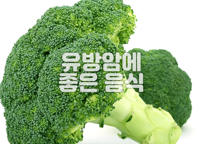 브로콜리 이미지