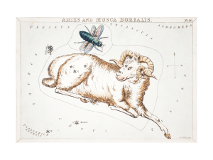 주간 별자리운세, 산수도인, 2023년 7월31일~8월6일