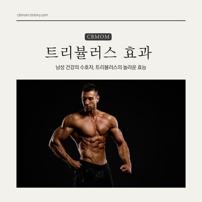 트리뷸러스 효능
