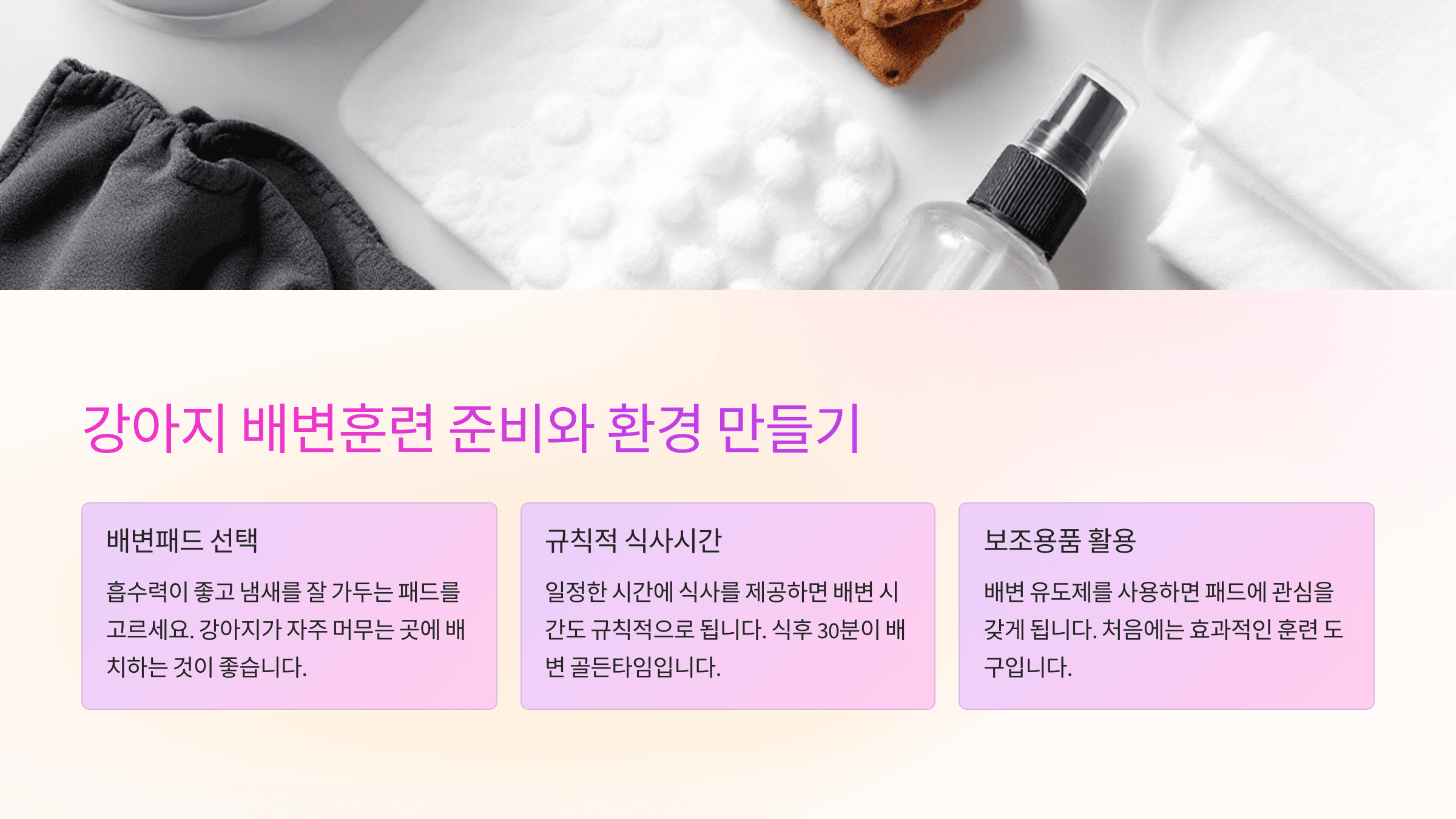 강아지 배변훈련의 중요성