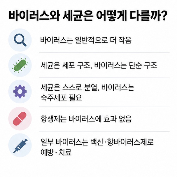 바이러스와 세균의 크기 구조 증식 치료 예방 차이를 비교한 인포그래픽