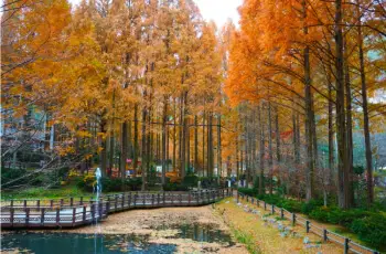 장태산 자연휴양림_16