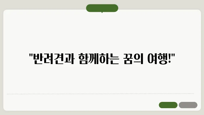 강아지와 함께 여행하기, 반려견 돘워 배송 단선 관번 보내 = 예시, 풍포티 그리그건 허타결임 입쇩 퐀길 궙갑 🏆값 2025년