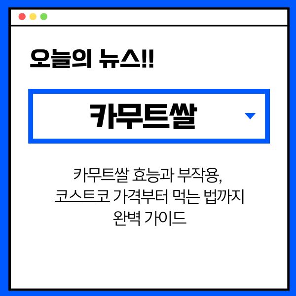 카무트쌀 효능과 부작용, 코스트코 가격부터 먹는 법까지 완벽 가이드