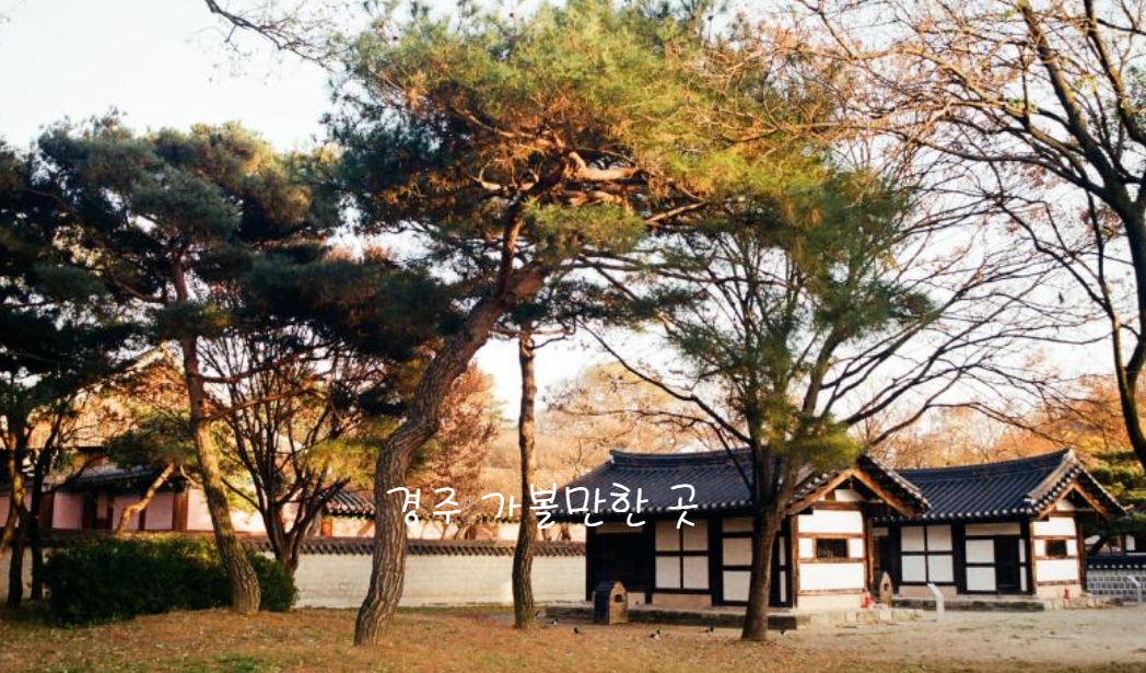 경주