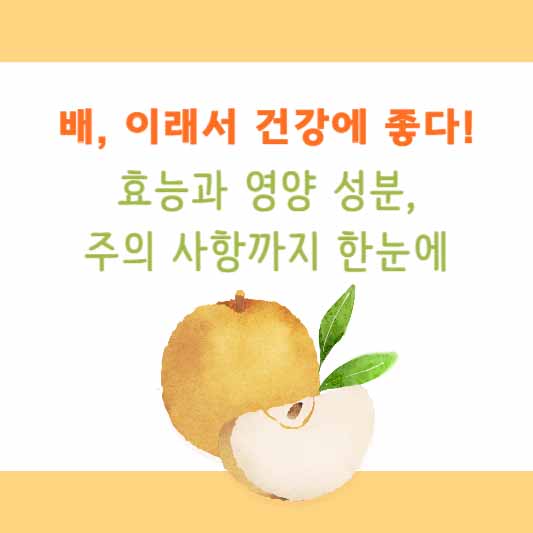 배, 이래서 건강에 좋다! 효능과 영양 성분, 주의 사항까지 한눈에