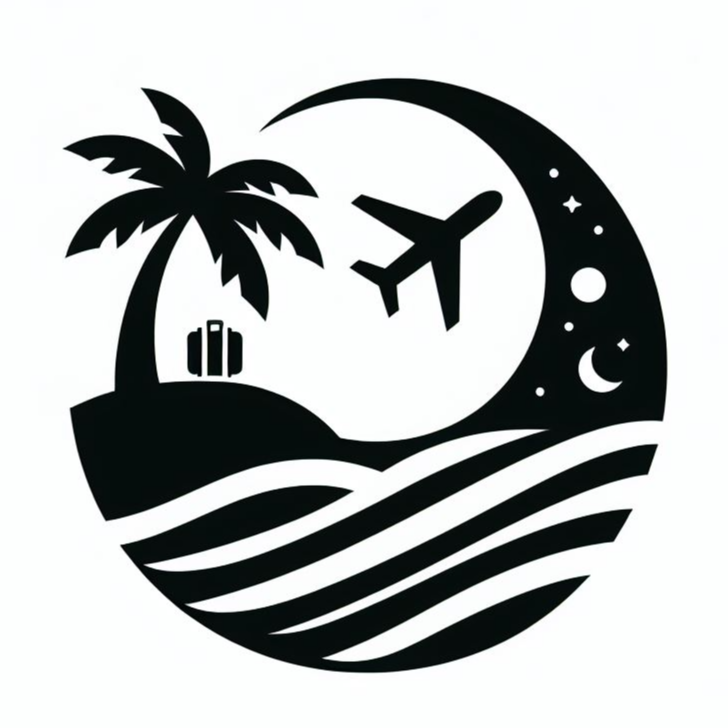 밤하늘 비행기 로고