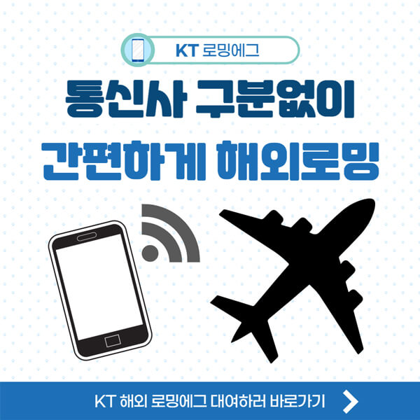 KT-로밍에그