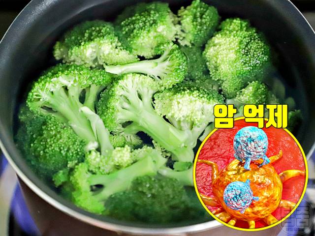 암과 싸우는 음식 암예방 음식 브로콜리 효능