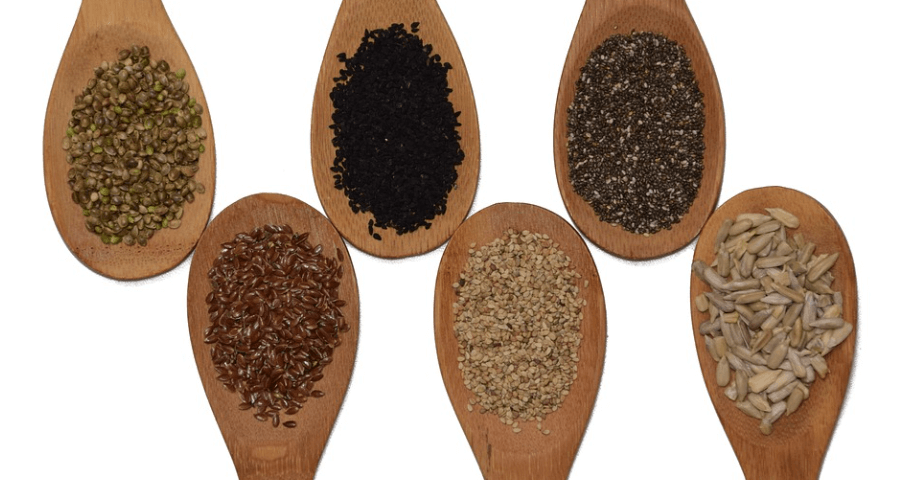 여러가지 씨앗들