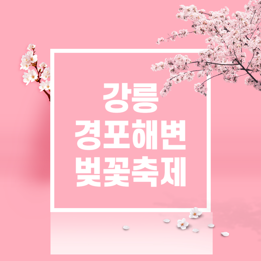 강릉 경포해변 벚꽃축제 낭만여행