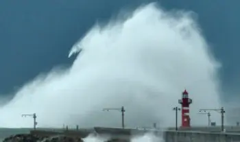 울릉도 독도 가족여행 준비 최적의 시기와 피해야 할 시기