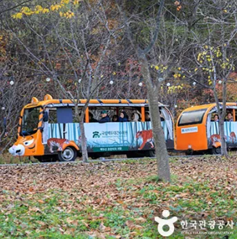 수목원사파리차량모습