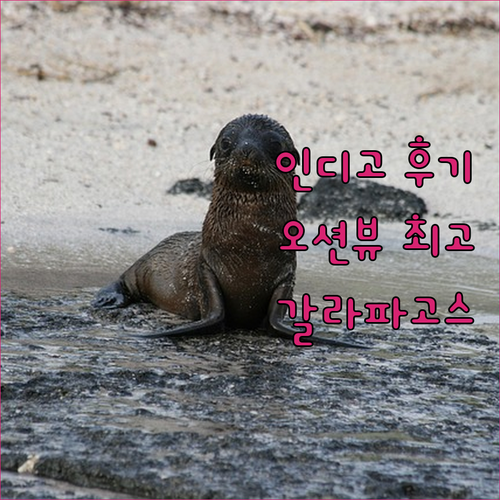 산 크리스토발 최고의 호텔 인디고 갈