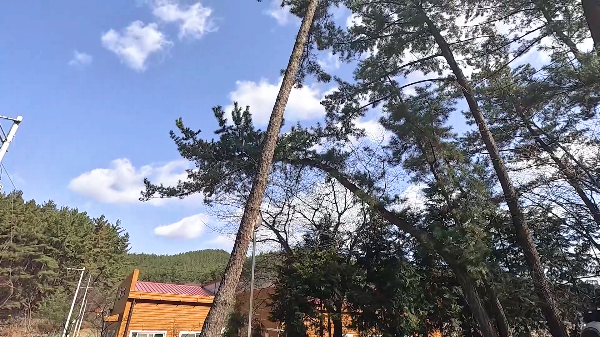 태안 올레유캠핑장