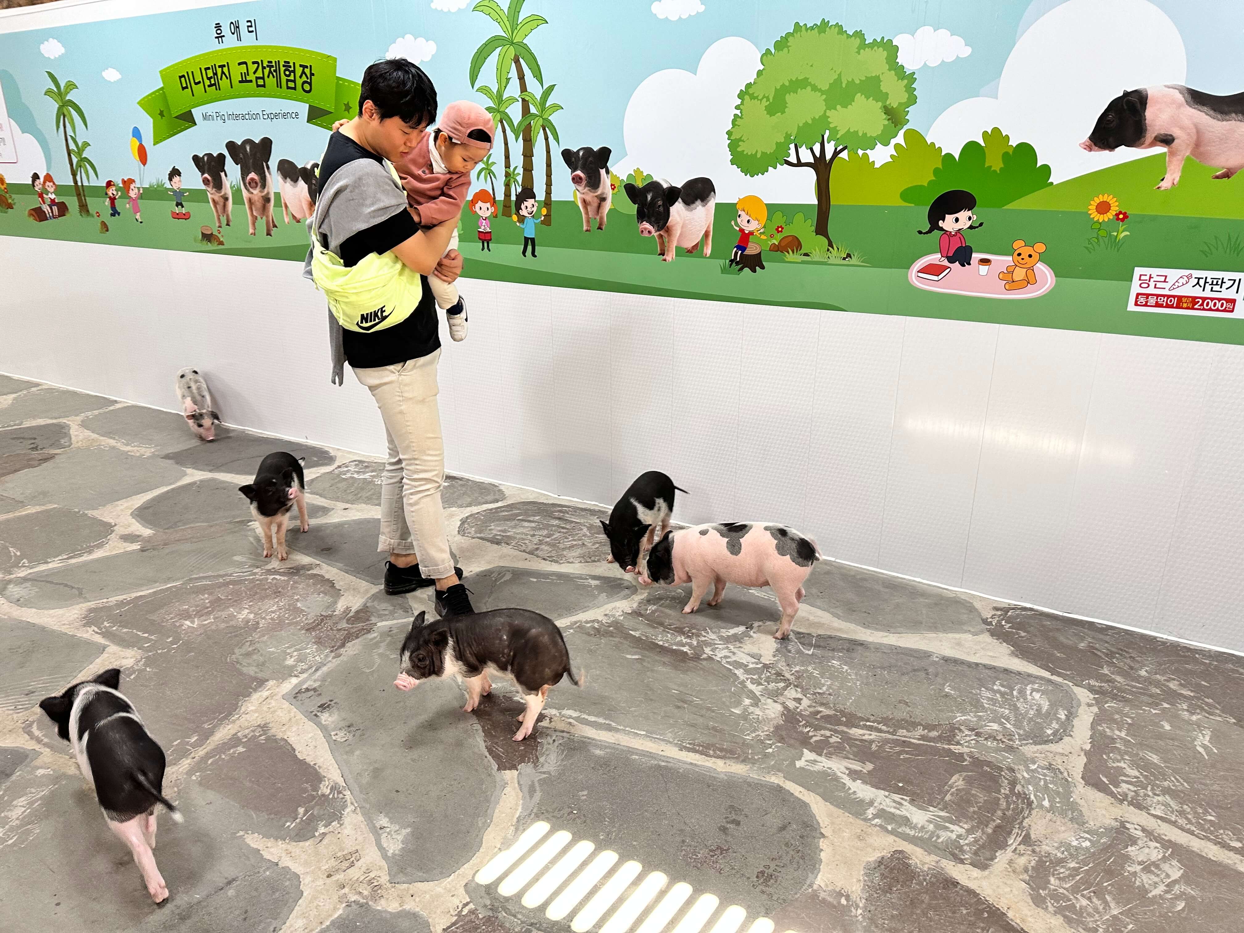 가을 아기와 함께 제주도 여행 휴애리자연생활공원