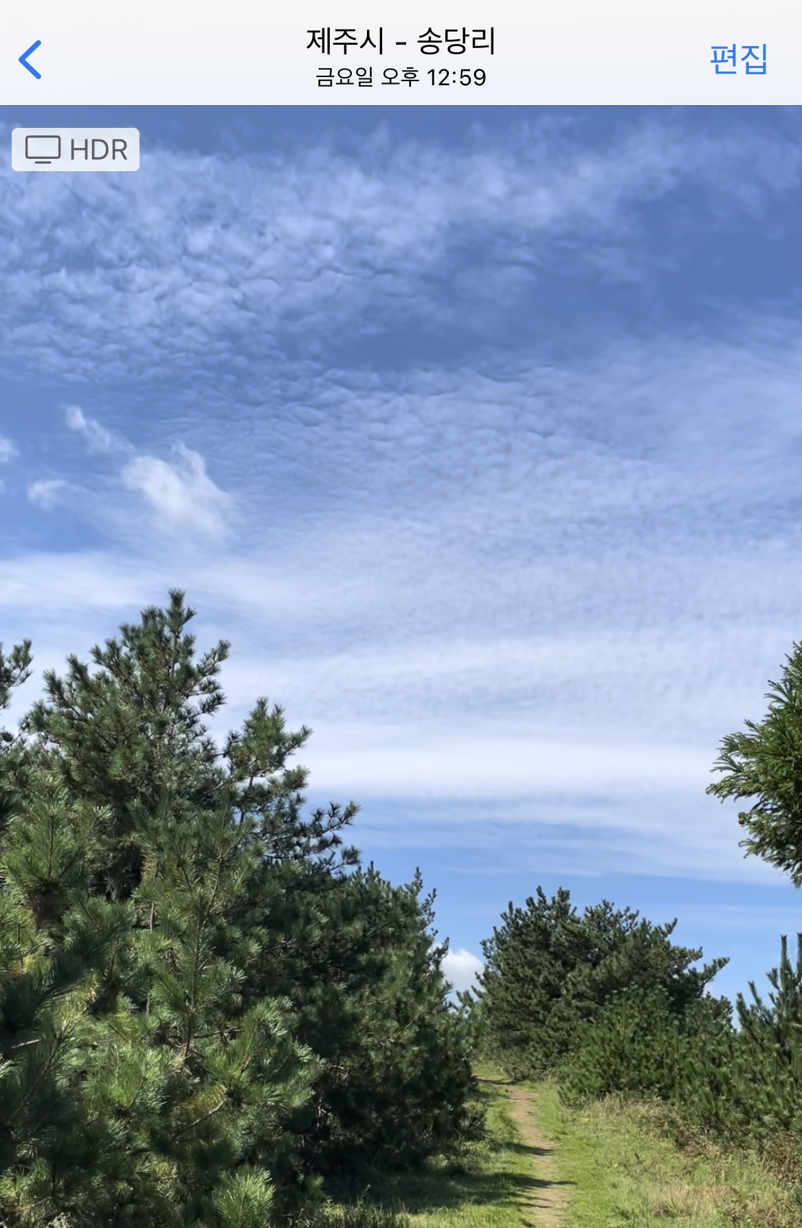제주 맛집 기내반입 9월 10월 11월 날씨 여행지 추천 수화물