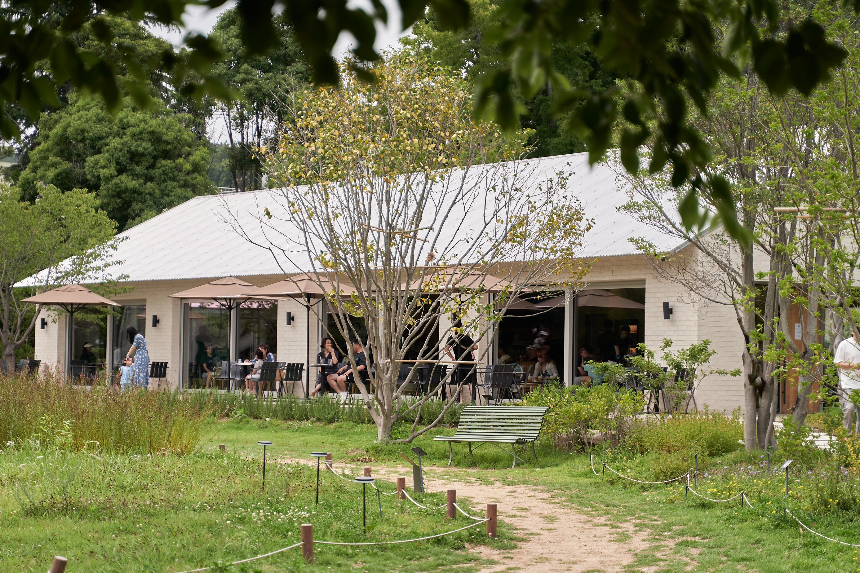 스타벅스 임랑원