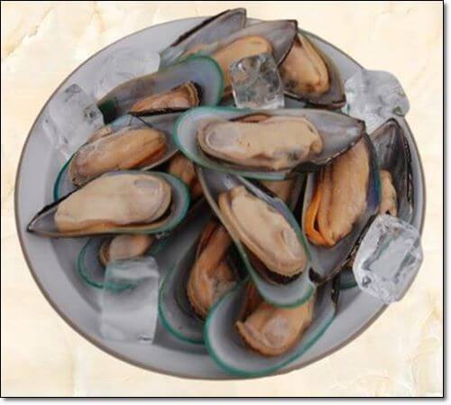 초록잎홍합 음식