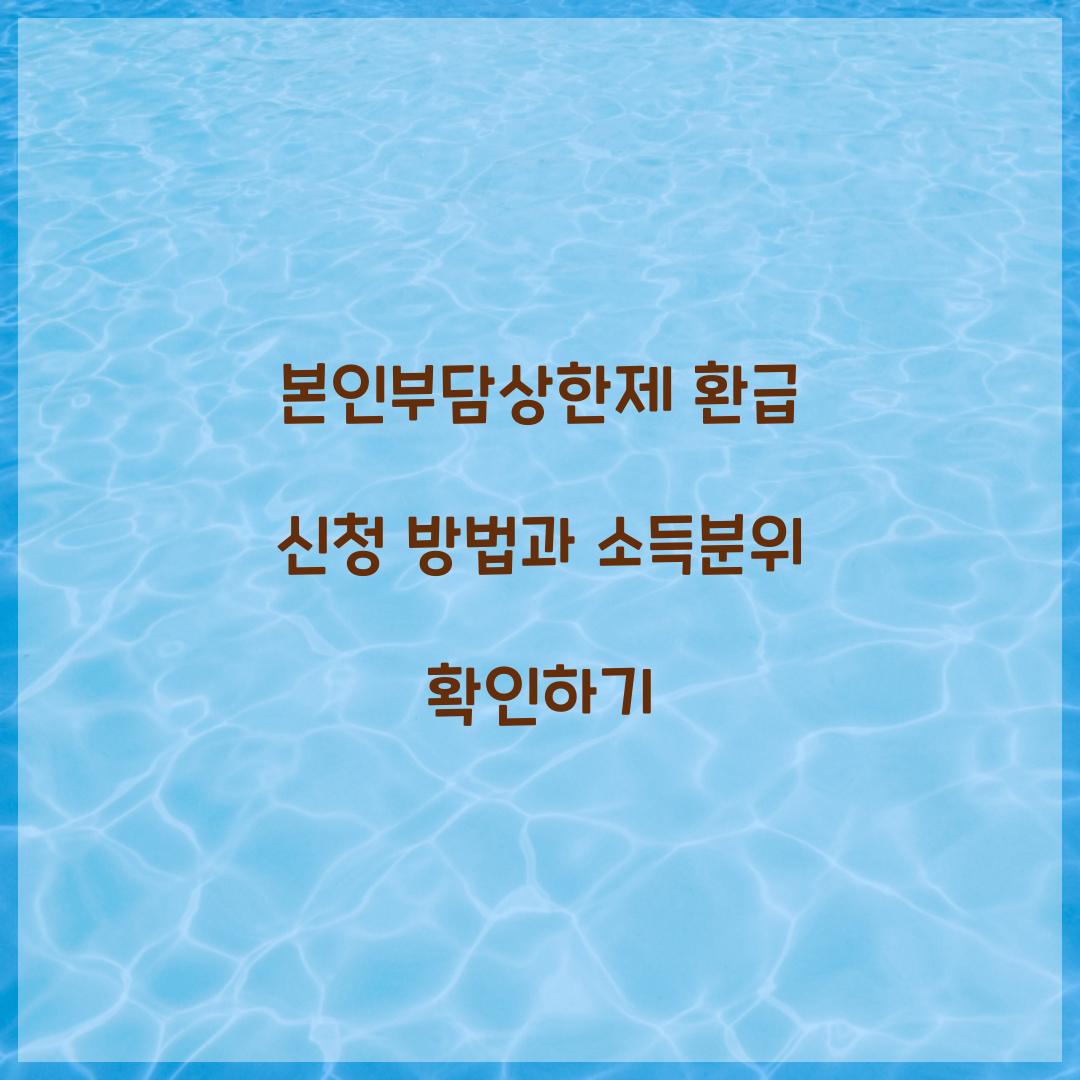 본인부담상한제 환급
