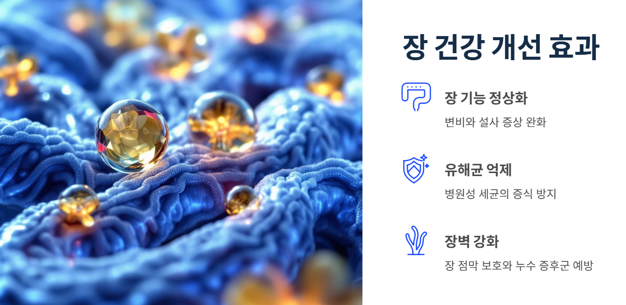 비피더스유산균 효능 효과