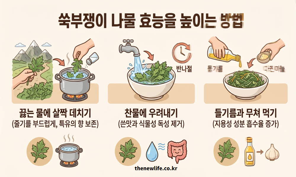 쑥부쟁이 나물 효능 높이는 손질법 조리 과정
