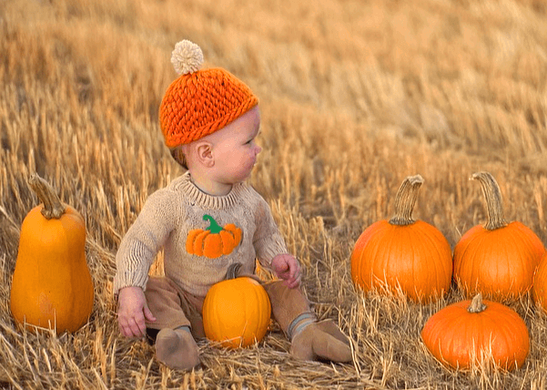 누런 밭에 주황색 털모자를 쓴 백인 아기가 앉아있고 주변엔 주황색 늙은호박 5개가 있다.