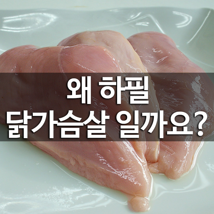 왜 하필 닭가슴살일까요?