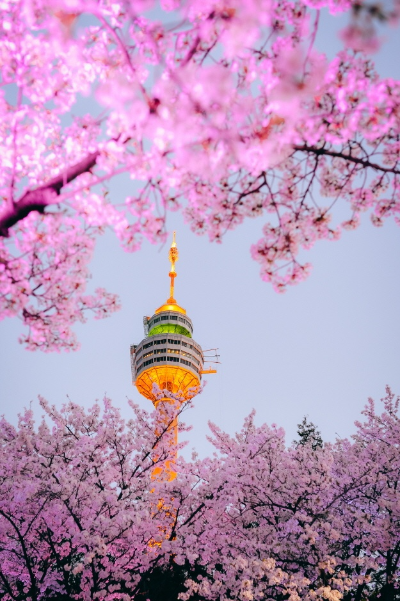 이월드-블라썸-피크닉-이미지