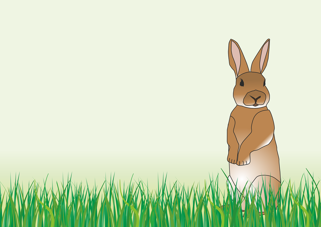 우보만리(牛步萬里) 고사성어 파별천리 우보천리 목적 포기 소 토끼와 거북이 문해력 사자성어 한자성어