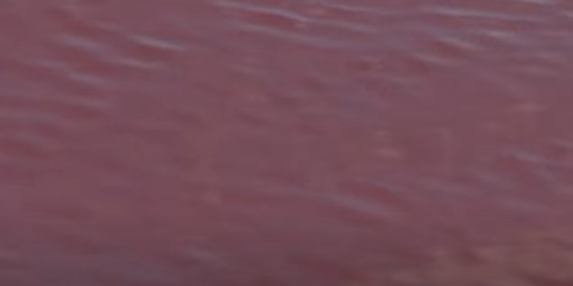 냉각수로 붉게 물든 일본 바다